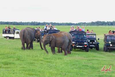 elephant ride during Sri Lanka tour